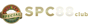 แทงบอลออนไลน์ ราคาน้ำดี ครบทุกลีก ผลบอลสด | SPC88
